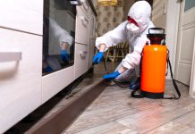 Dératisation et désinsectisation dans la Drôme : les solutions professionnelles pour votre maison