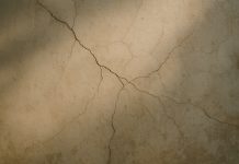 Les signes invisibles qui peuvent fragiliser un bâtiment Gros plan de fissures sur un vieux mur en plâtre