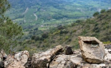 Le bardage pour bâtiment : esthétique et performance réunies